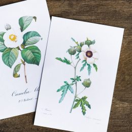 Types of Paper for Printing Invitations: What Should I Choose?